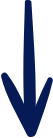 Vulse arrow